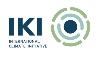 International Climate Initiative